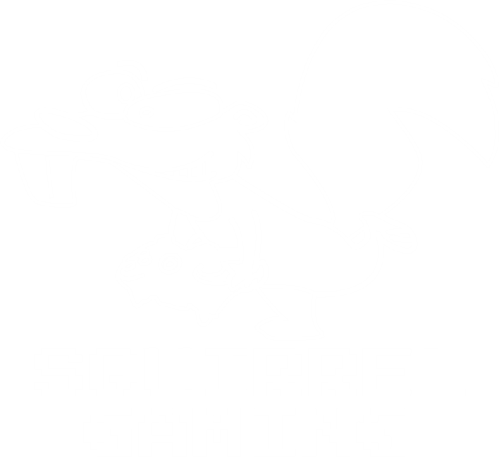 Squirrel Gaming